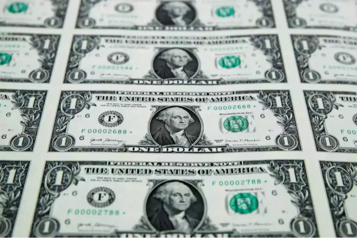 Varios billetes de un dólar estadounidense alineados en filas Varios billetes de un dólar estadounidense alineados en filas