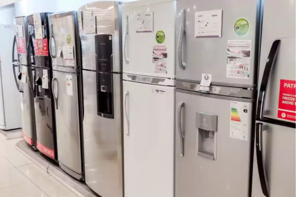Varios refrigeradores de diferentes modelos y colores alineados en exhibición dentro de una tienda de electrodomésticos