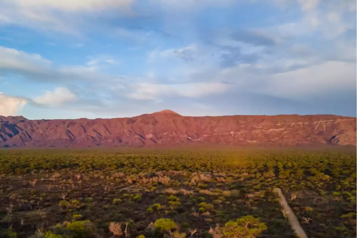 Paisaje de una montaña rojiza al atardecer con un extenso bosque en primer plano y un camino de tierra que atraviesa la vegetación bajo un cielo parcialmente nublado
