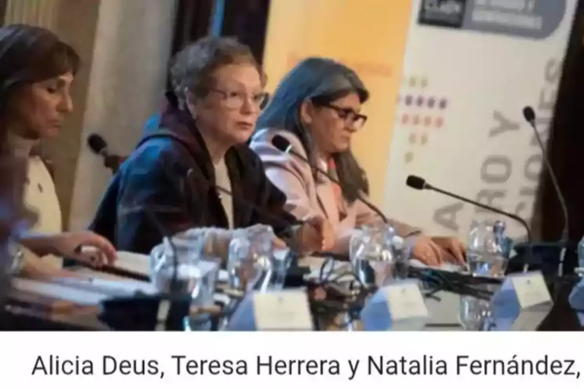 Cuatro mujeres sentadas en una mesa de conferencia con micrófonos y documentos frente a ellas durante un evento formal Cuatro mujeres sentadas en una mesa de conferencia con micrófonos y documentos frente a ellas durante un evento formal