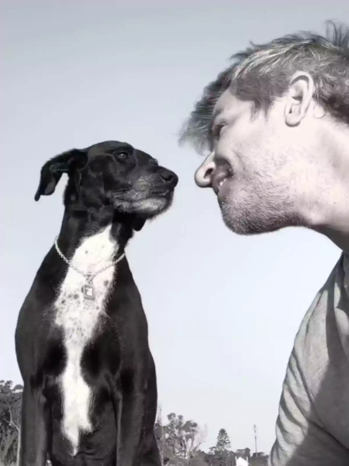 A man and a dog look closely at each other with friendly expressions in an outdoor setting. A man and a dog look closely at each other with friendly expressions in an outdoor setting.