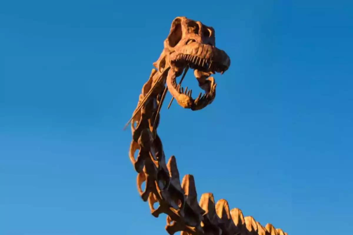 Dinosaur skeleton with a blue sky in the background