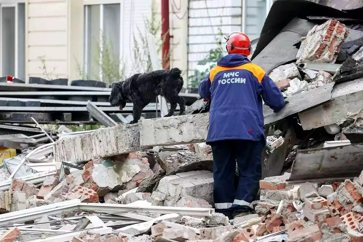 Un rescatista con casco y un perro buscan entre los escombros de un edificio colapsado Un rescatista con casco y un perro buscan entre los escombros de un edificio colapsado