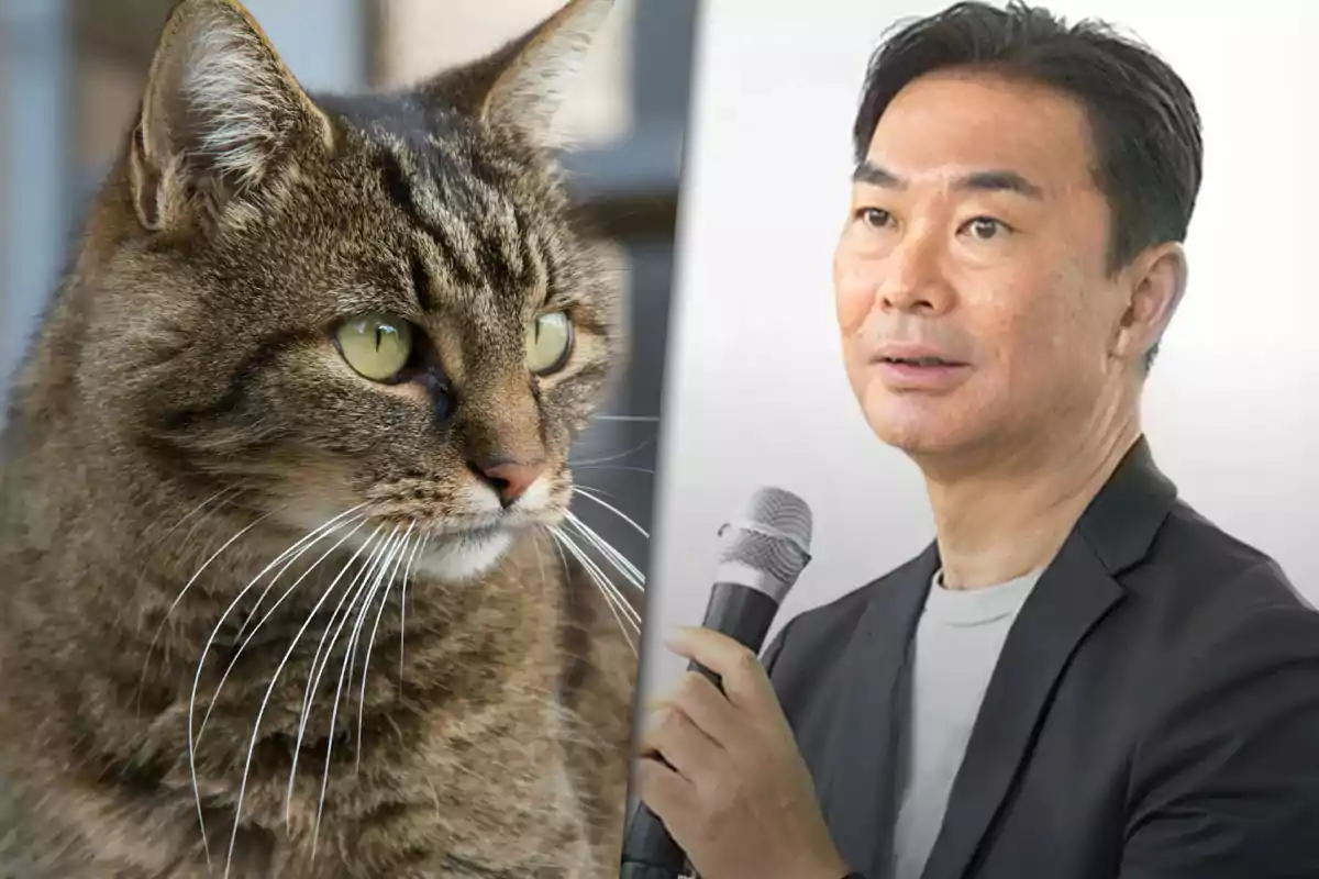 A tabby cat looking to the left next to a man holding a microphone
