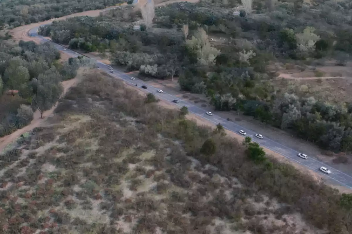 Caravana de autos blancos circulando por un camino rodeado de vegetación y árboles vistos desde una perspectiva aérea