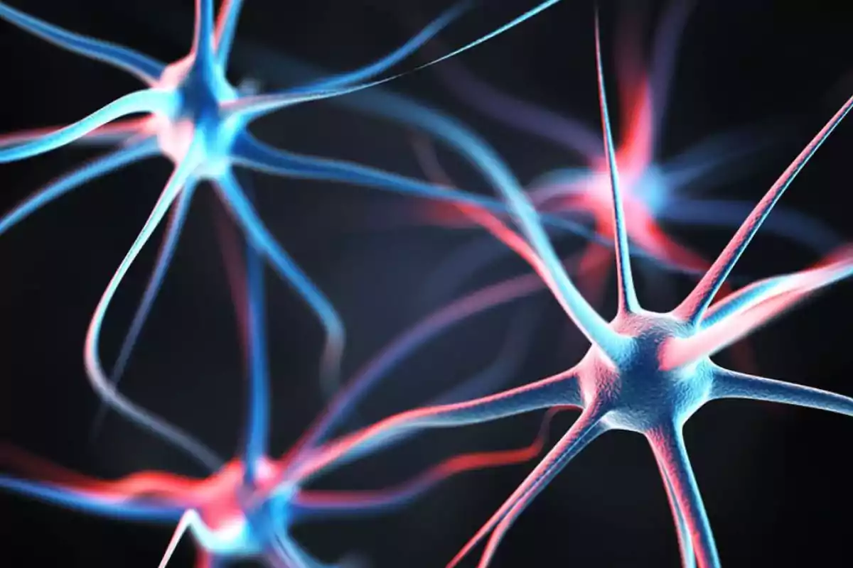 Illustration of several neurons connected to each other in blue and red colors on a dark background Illustration of several neurons connected to each other in blue and red colors on a dark background