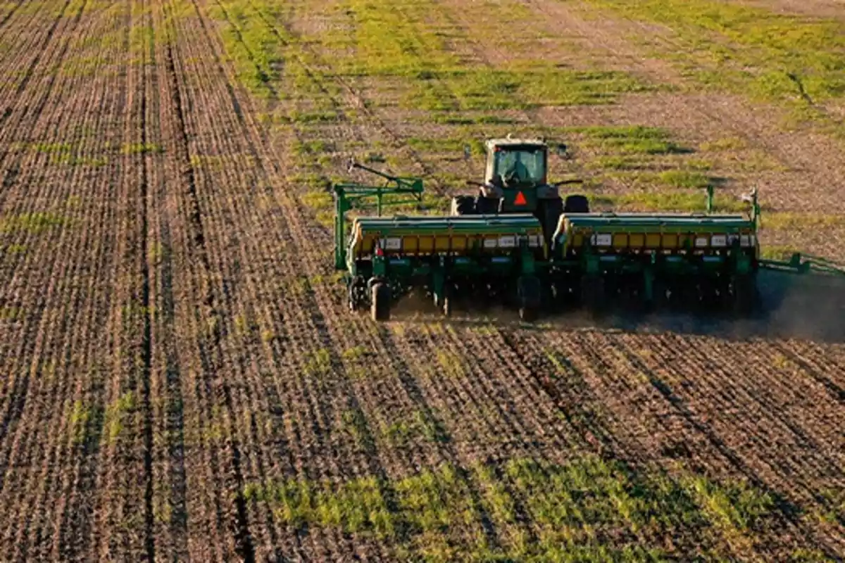 Agricultural tractor working in a planted field with visible crop rows and scattered vegetation.