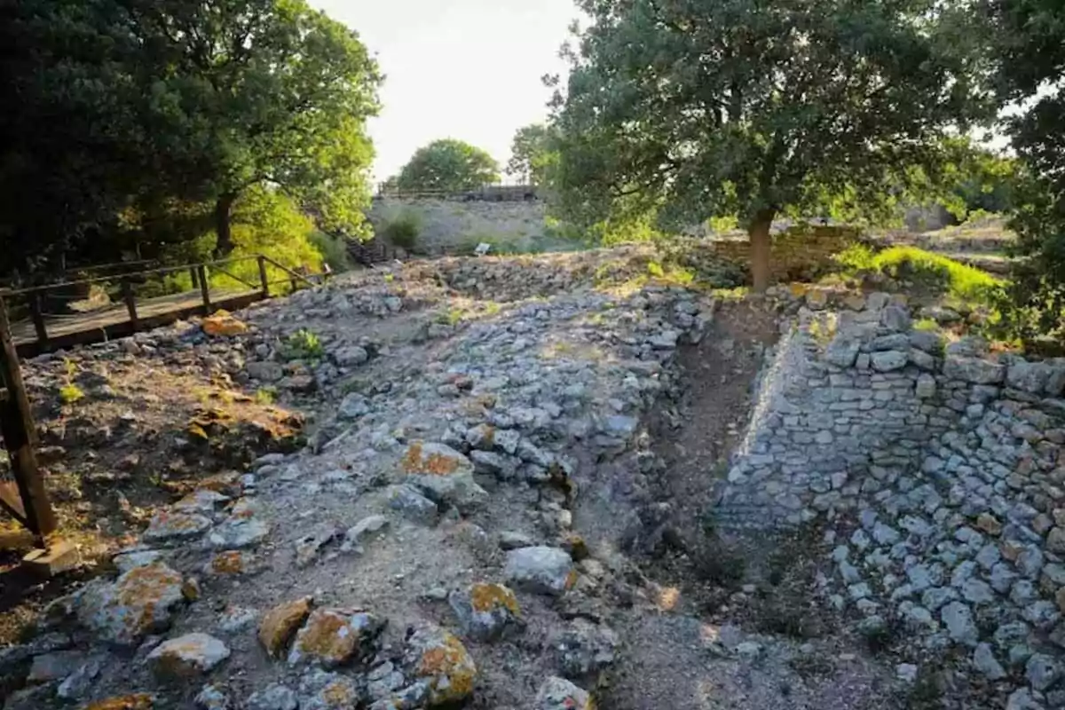 Ruinas de una antigua construcción de piedra rodeada de árboles y vegetación bajo la luz del sol Ruinas de una antigua construcción de piedra rodeada de árboles y vegetación bajo la luz del sol