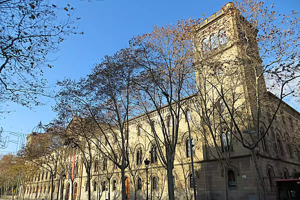 Fachada de un edificio histórico de piedra con una torre y árboles sin hojas frente a un cielo azul Fachada de un edificio histórico de piedra con una torre y árboles sin hojas frente a un cielo azul