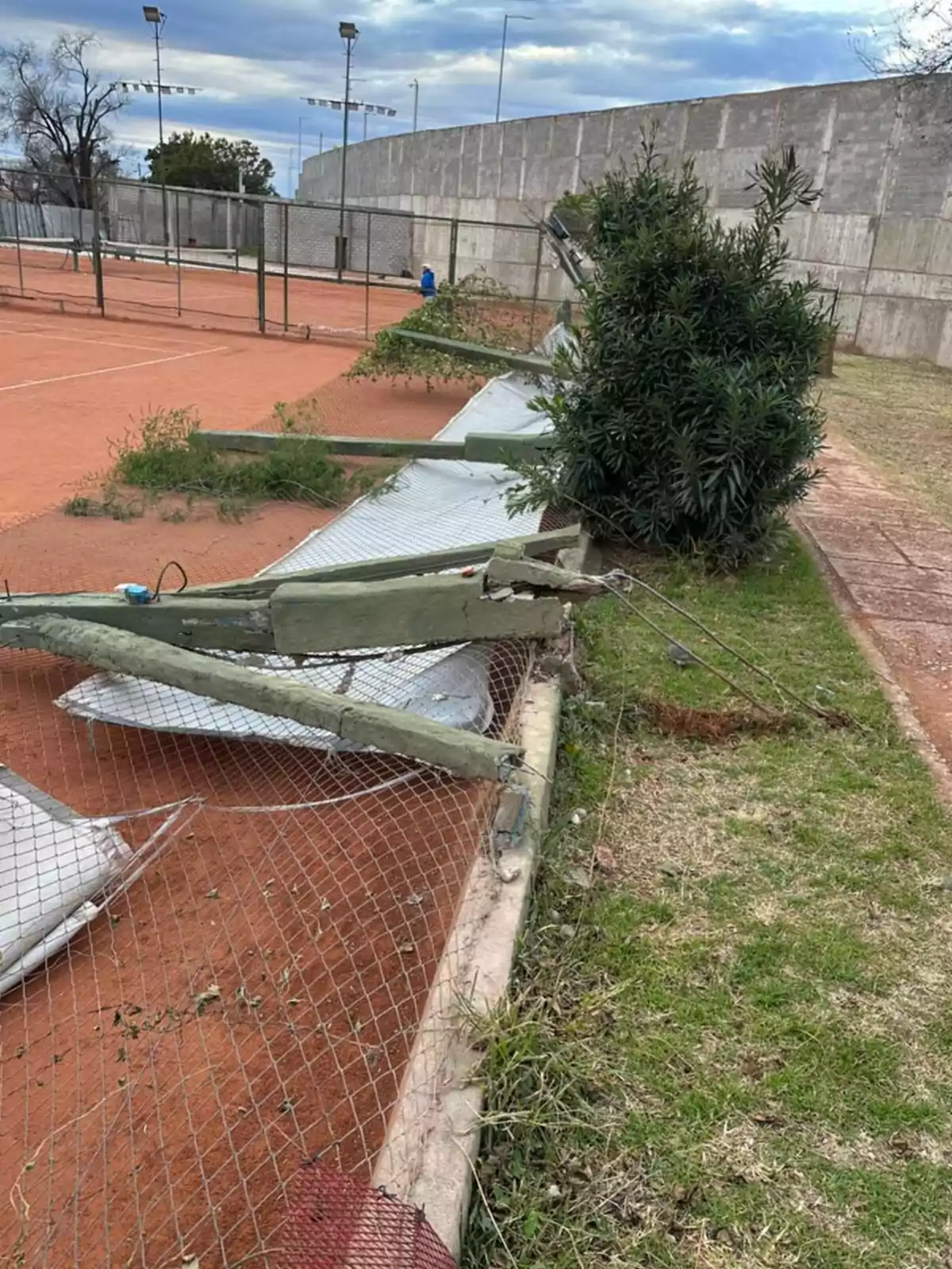 Near a fallen and damaged tennis court next to a bush and grass Near a fallen and damaged tennis court next to a bush and grass