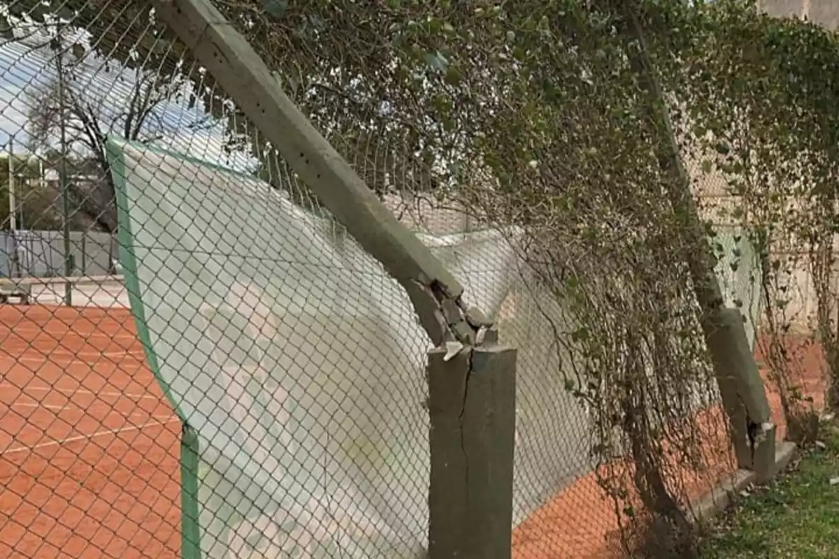 Wire mesh on a tennis court with broken concrete posts and vegetation growing over the fence Wire mesh on a tennis court with broken concrete posts and vegetation growing over the fence