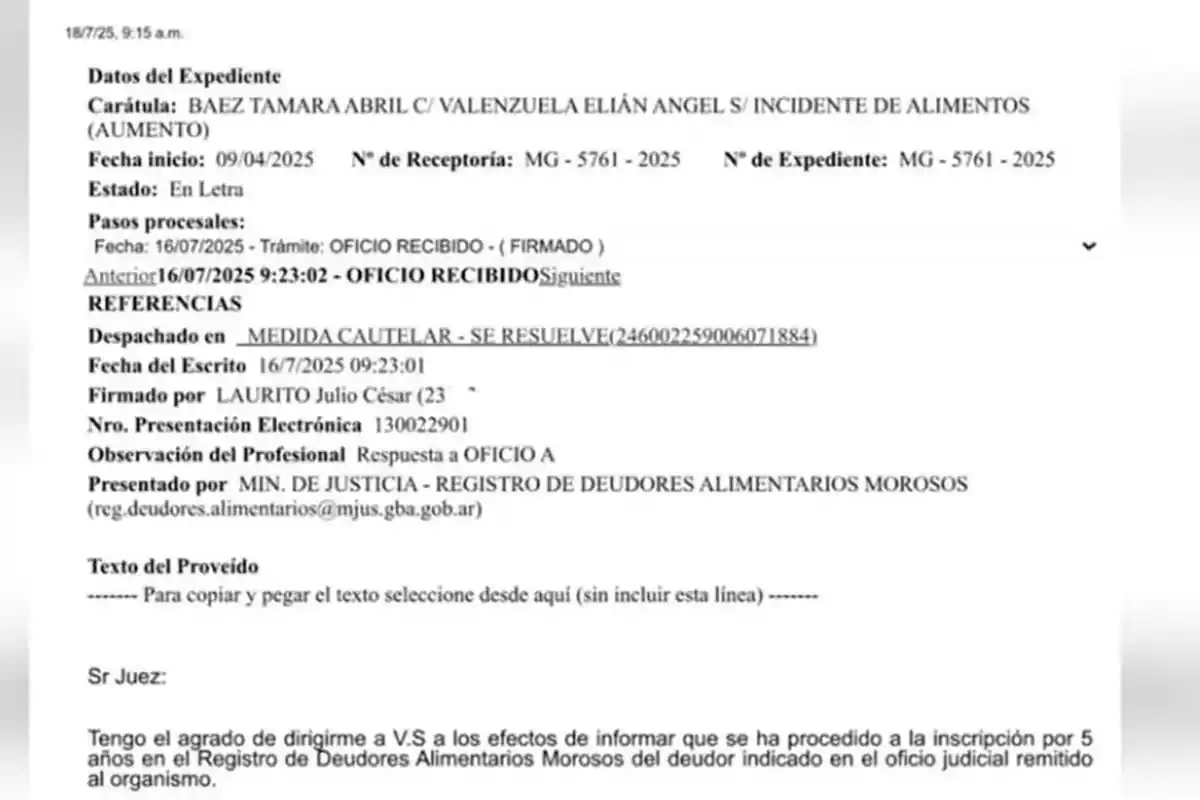 Captura de pantalla de un documento judicial sobre un incidente de alimentos, donde se informa la inscripción de una persona en el Registro de Deudores Alimentarios Morosos por cinco años Captura de pantalla de un documento judicial sobre un incidente de alimentos, donde se informa la inscripción de una persona en el Registro de Deudores Alimentarios Morosos por cinco años