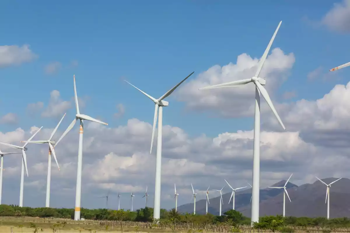 Several wind turbines in a field with a blue sky and clouds in the background Several wind turbines in a field with a blue sky and clouds in the background