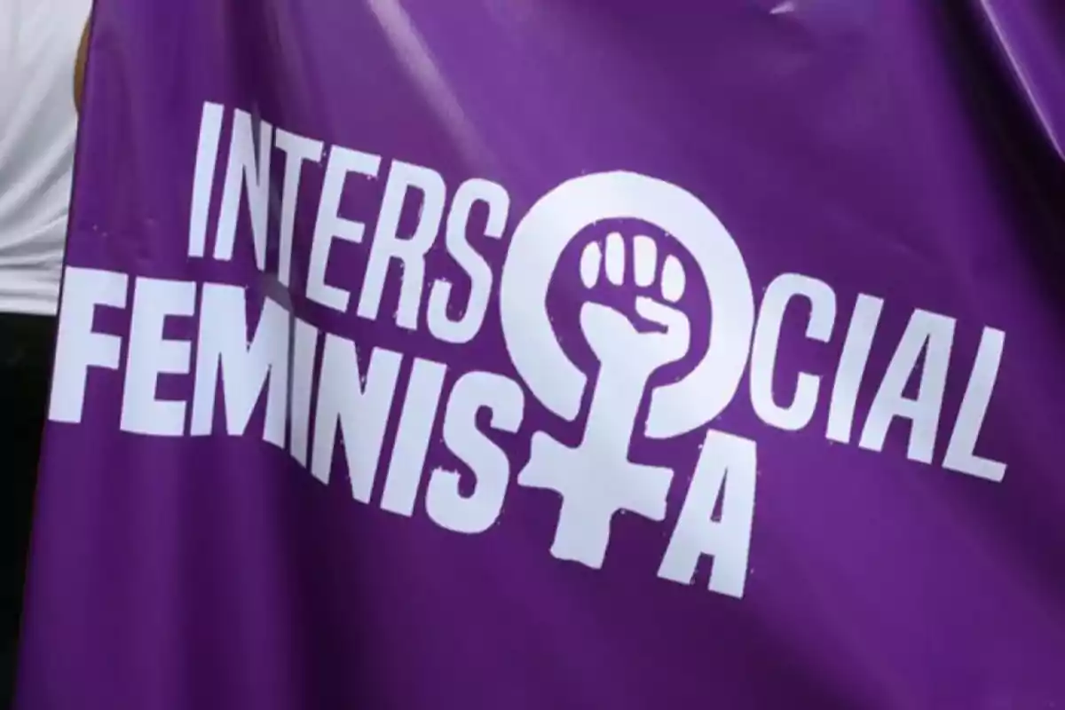 Purple banner with the words "Intersocial Feminist" in white letters and the feminist symbol with a fist in the center.