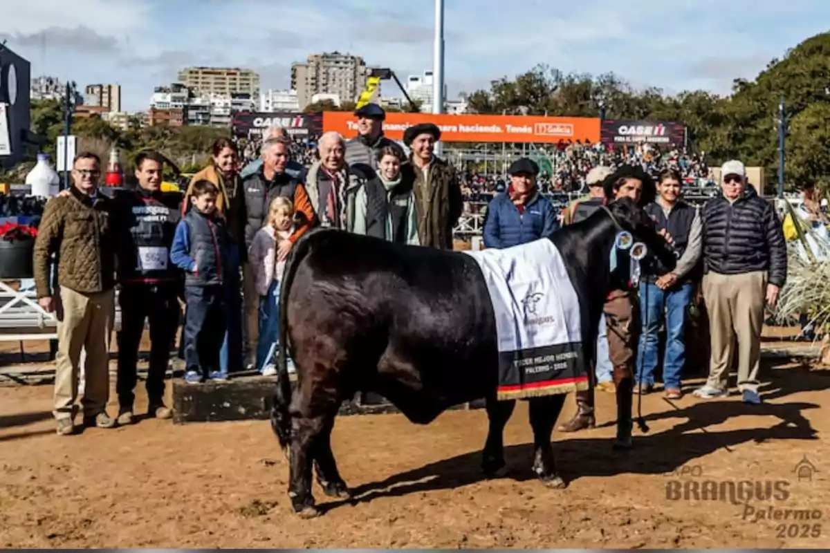 Un grupo de personas posa junto a un toro premiado en una exposición ganadera al aire libre con público y edificios al fondo Un grupo de personas posa junto a un toro premiado en una exposición ganadera al aire libre con público y edificios al fondo