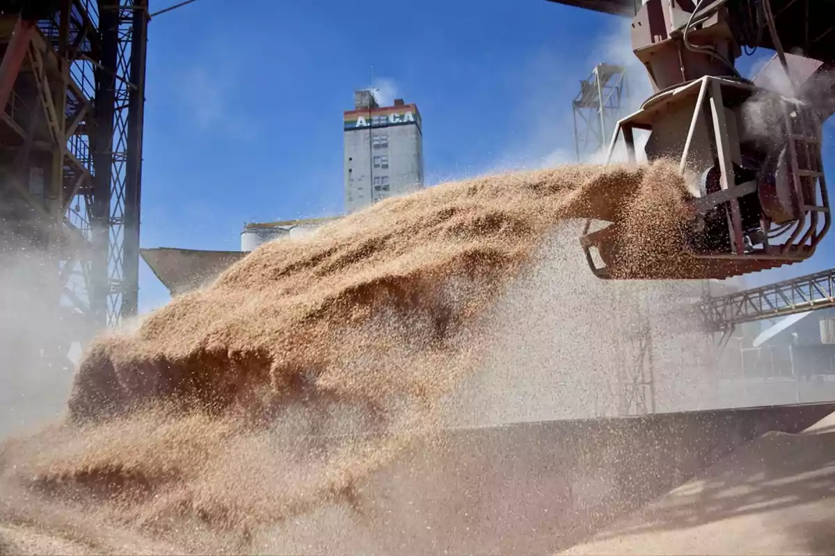 Granos siendo descargados de una máquina industrial en una planta de procesamiento bajo un cielo despejado