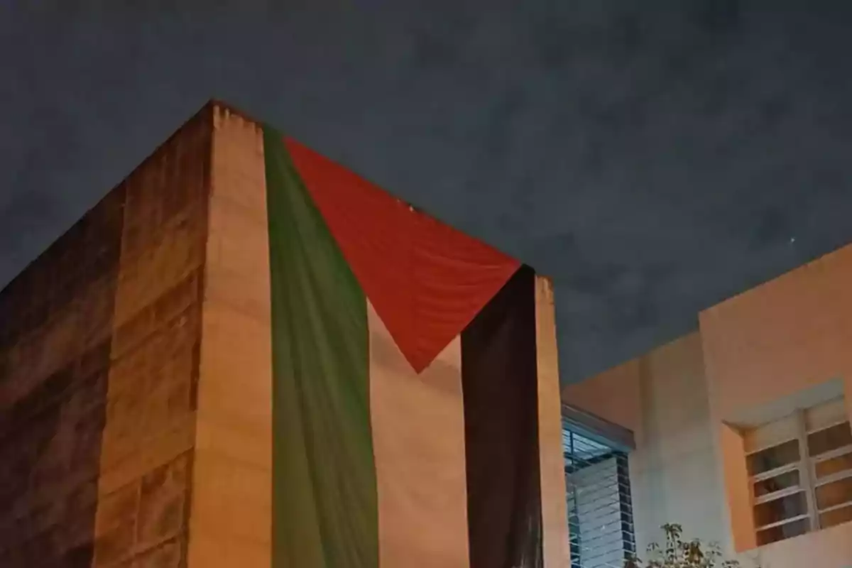 Una bandera de Palestina cuelga en la fachada de un edificio durante la noche