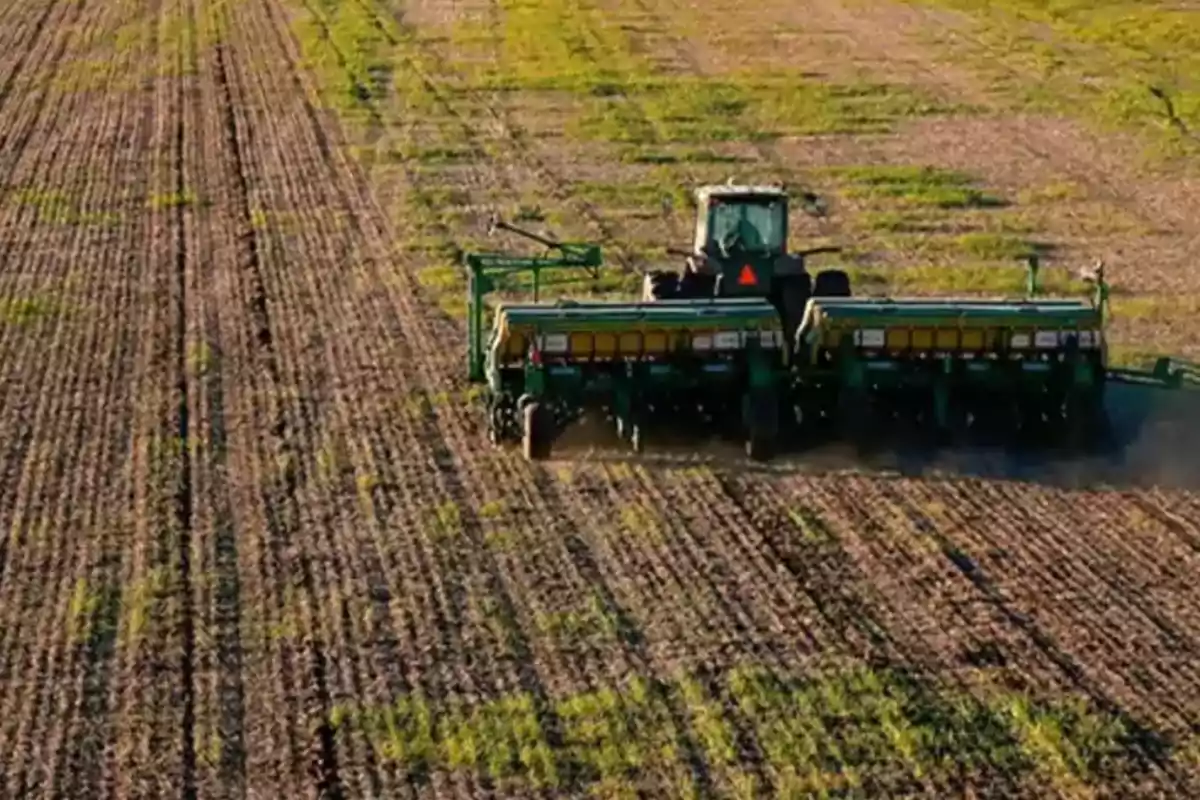 Agricultural tractor working in a field planted with visible crop rows Agricultural tractor working in a field planted with visible crop rows