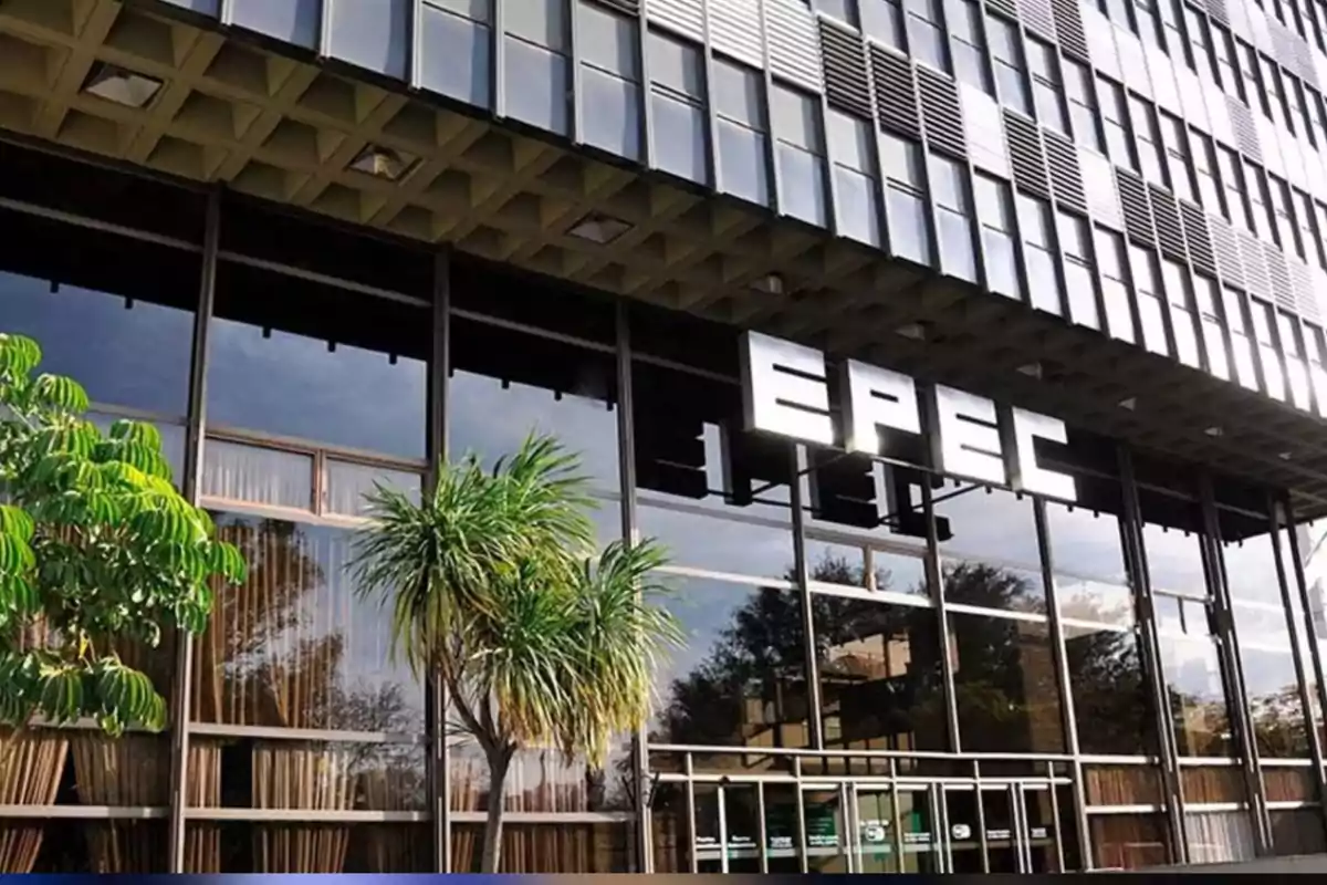 Facade of a modern building with large windows and the illuminated EPEC sign surrounded by trees and vegetation.