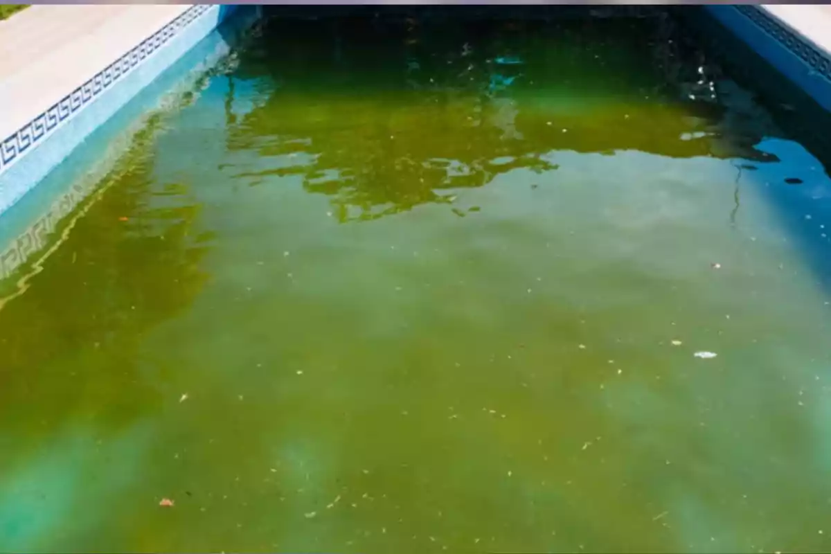 Piscina con agua verde y turbia debido a la acumulación de algas y suciedad Piscina con agua verde y turbia debido a la acumulación de algas y suciedad