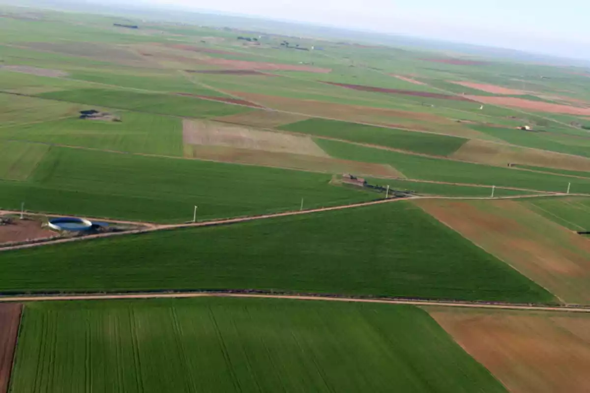 Aerial view of agricultural fields with different shades of green and brown divided into rectangular plots Aerial view of agricultural fields with different shades of green and brown divided into rectangular plots