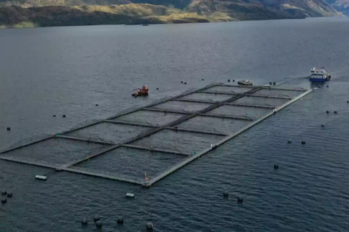 Granja de acuicultura flotante en un lago rodeado de montañas con barcos cerca de la estructura