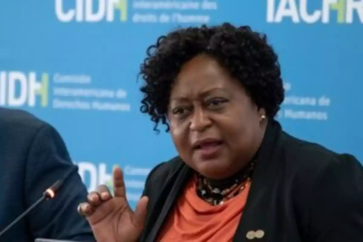 Mujer de cabello rizado y ropa formal hablando frente a un fondo azul con logotipos de la Comisión Interamericana de Derechos Humanos