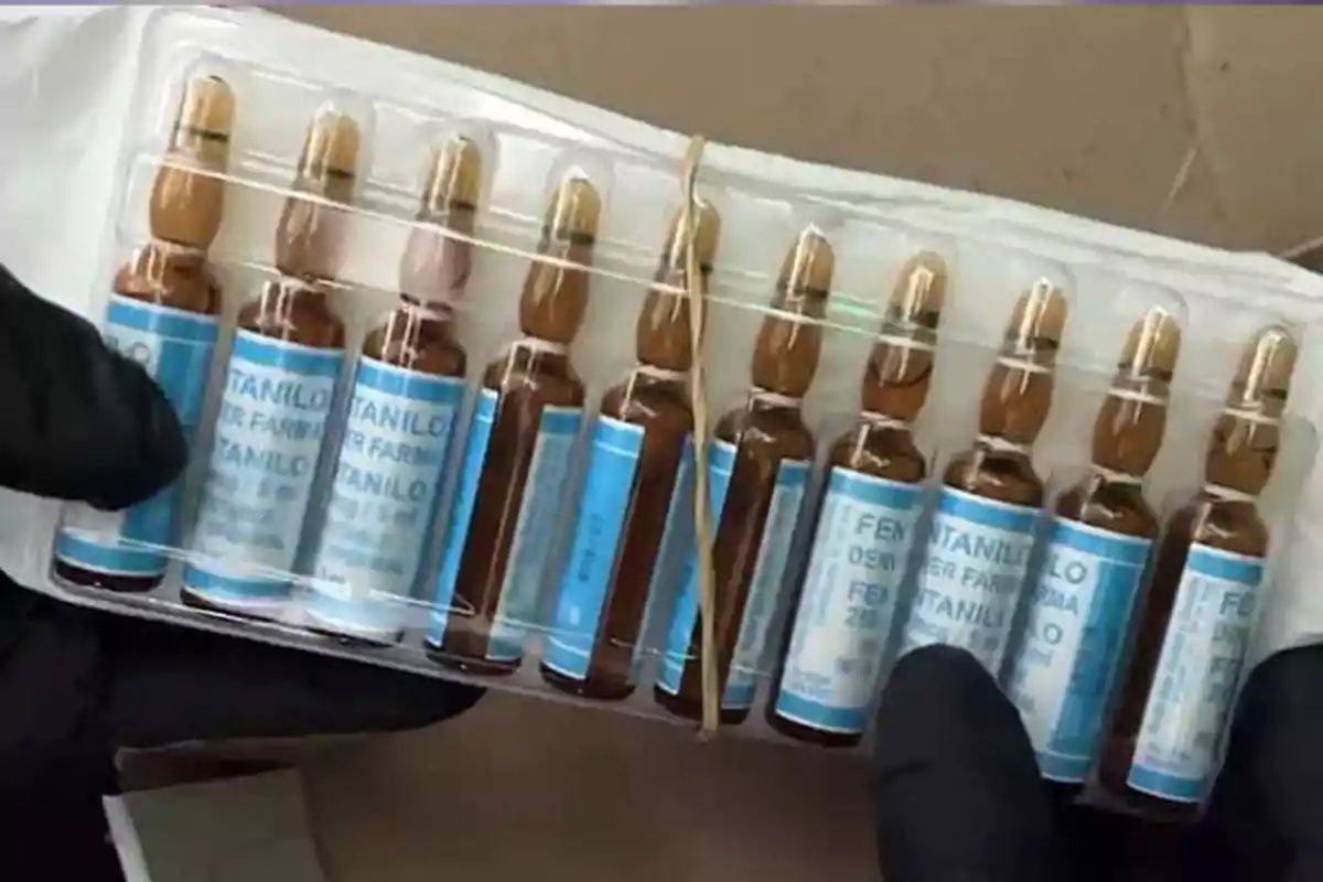 Gloved hands hold a blister pack of glass ampoules with blue labels that say fentanyl. Gloved hands hold a blister pack of glass ampoules with blue labels that say fentanyl.