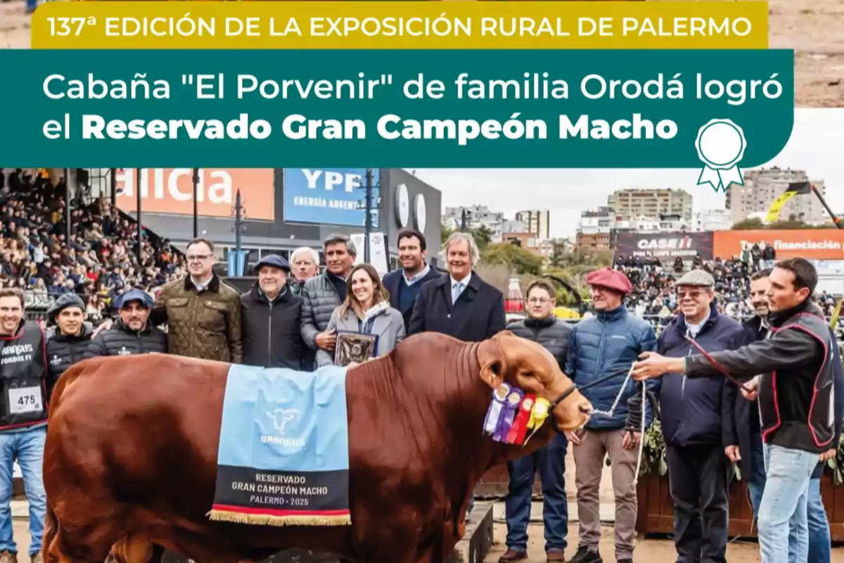 Grupo de personas posando junto a un toro premiado con cintas y una manta en un evento rural en Palermo, con público y edificios de fondo. Grupo de personas posando junto a un toro premiado con cintas y una manta en un evento rural en Palermo, con público y edificios de fondo.
