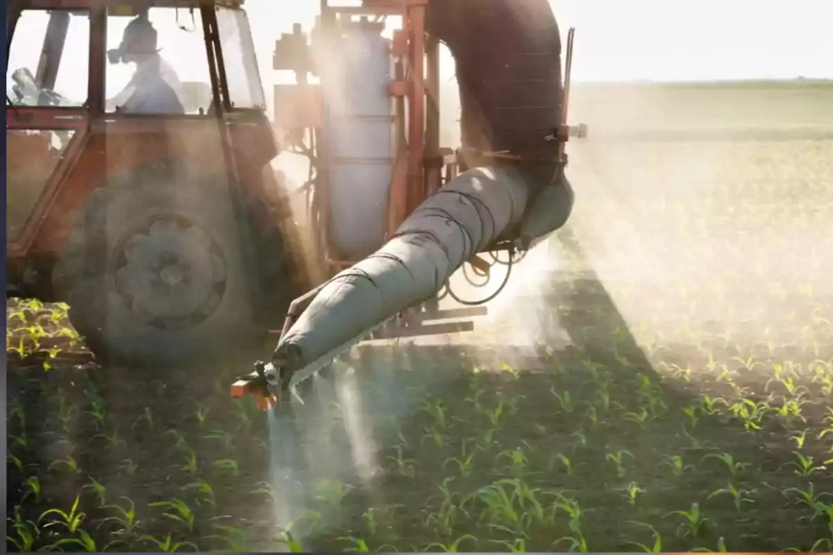 Tractor applying pesticides in a young crop field under sunlight Tractor applying pesticides in a young crop field under sunlight