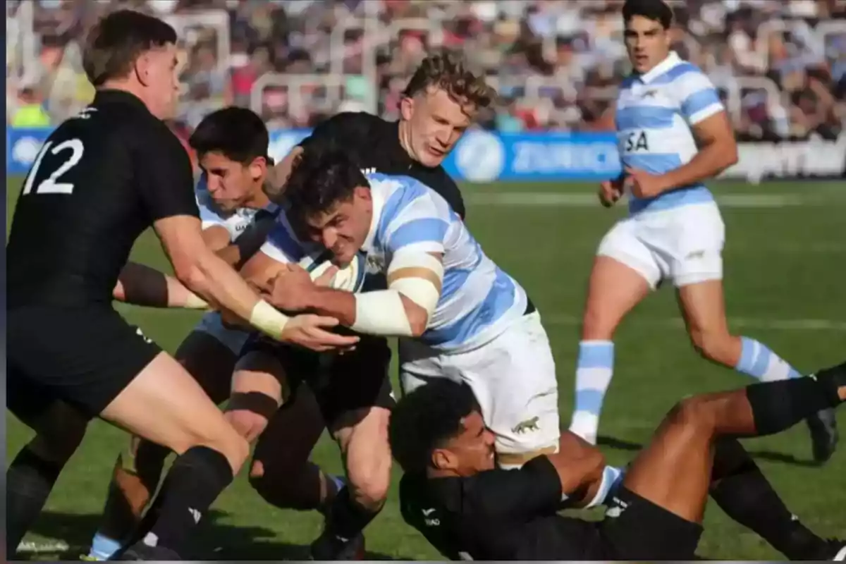 Jugadores de rugby de Argentina y Nueva Zelanda forcejean por el balón durante un partido en un estadio lleno de espectadores Jugadores de rugby de Argentina y Nueva Zelanda forcejean por el balón durante un partido en un estadio lleno de espectadores