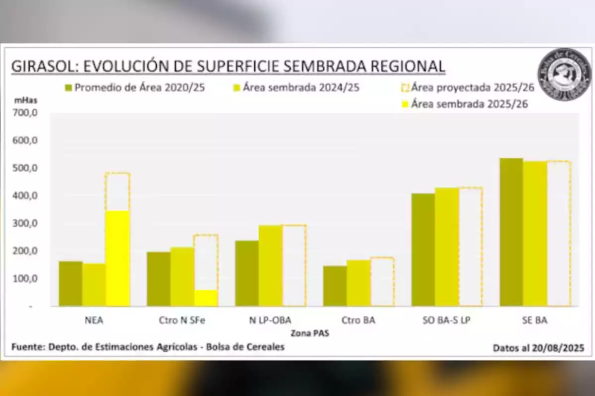 Bar chart showing the evolution of sunflower planted area in different regions of Argentina between the 2020 and 2026 cycles, with comparative data on average, planted, and projected area. Bar chart showing the evolution of sunflower planted area in different regions of Argentina between the 2020 and 2026 cycles, with comparative data on average, planted, and projected area.