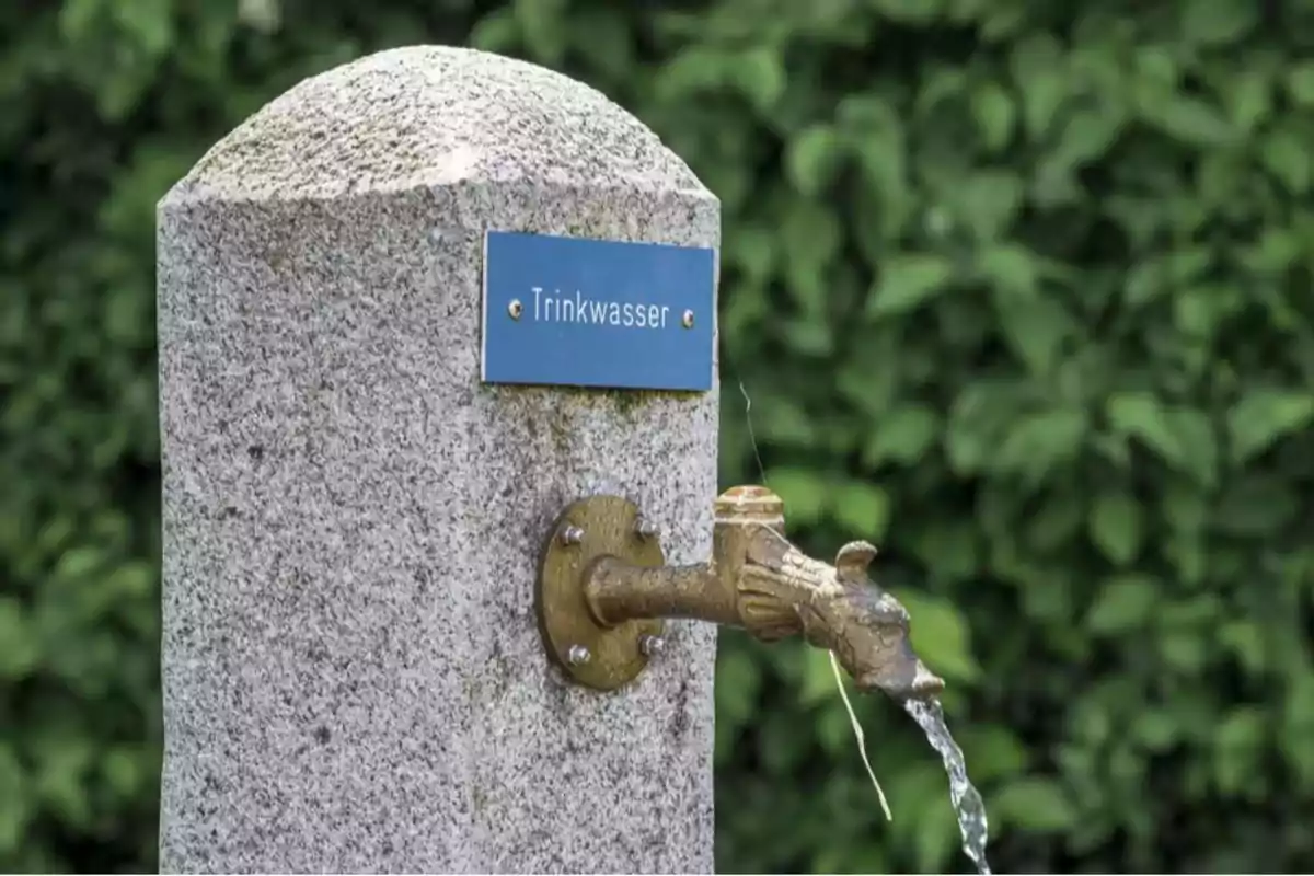 Stone fountain with a metal spout shaped like an animal head and a blue sign that says Trinkwasser