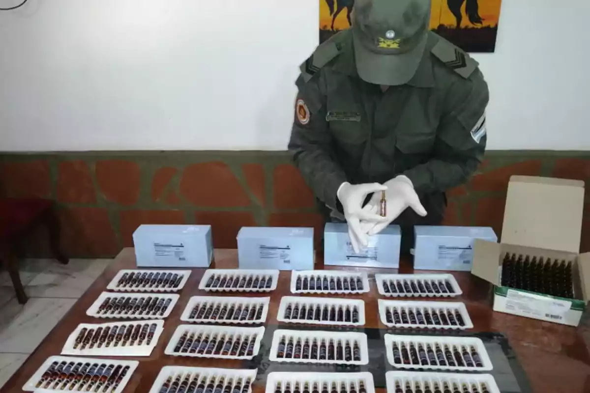 Un oficial con guantes revisa varias bandejas de ampolletas organizadas sobre una mesa junto a cajas de medicamentos. Un oficial con guantes revisa varias bandejas de ampolletas organizadas sobre una mesa junto a cajas de medicamentos.