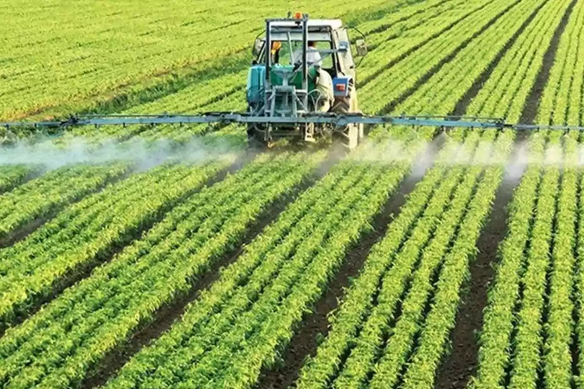 Tractor applying pesticides in a crop field with rows of green plants