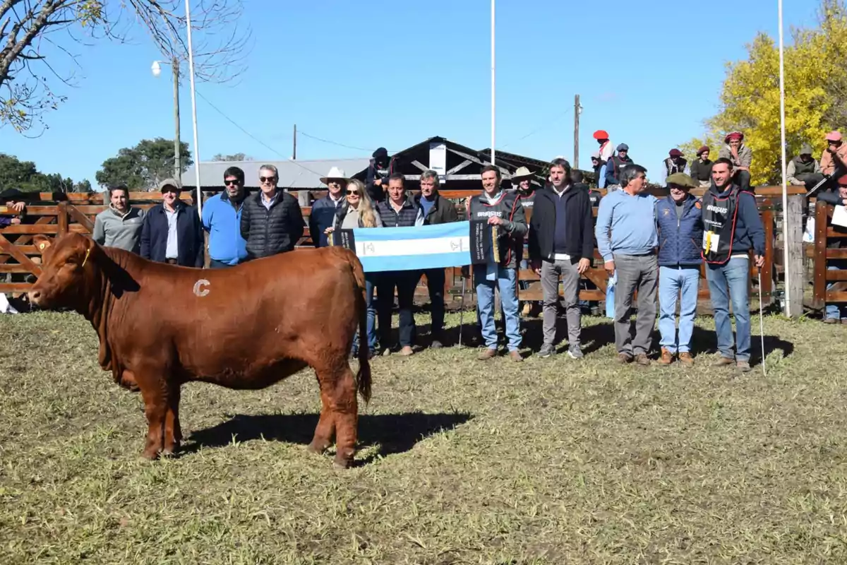 A group of people poses behind a brown cow at an outdoor rural exhibition, holding a light blue and white flag.