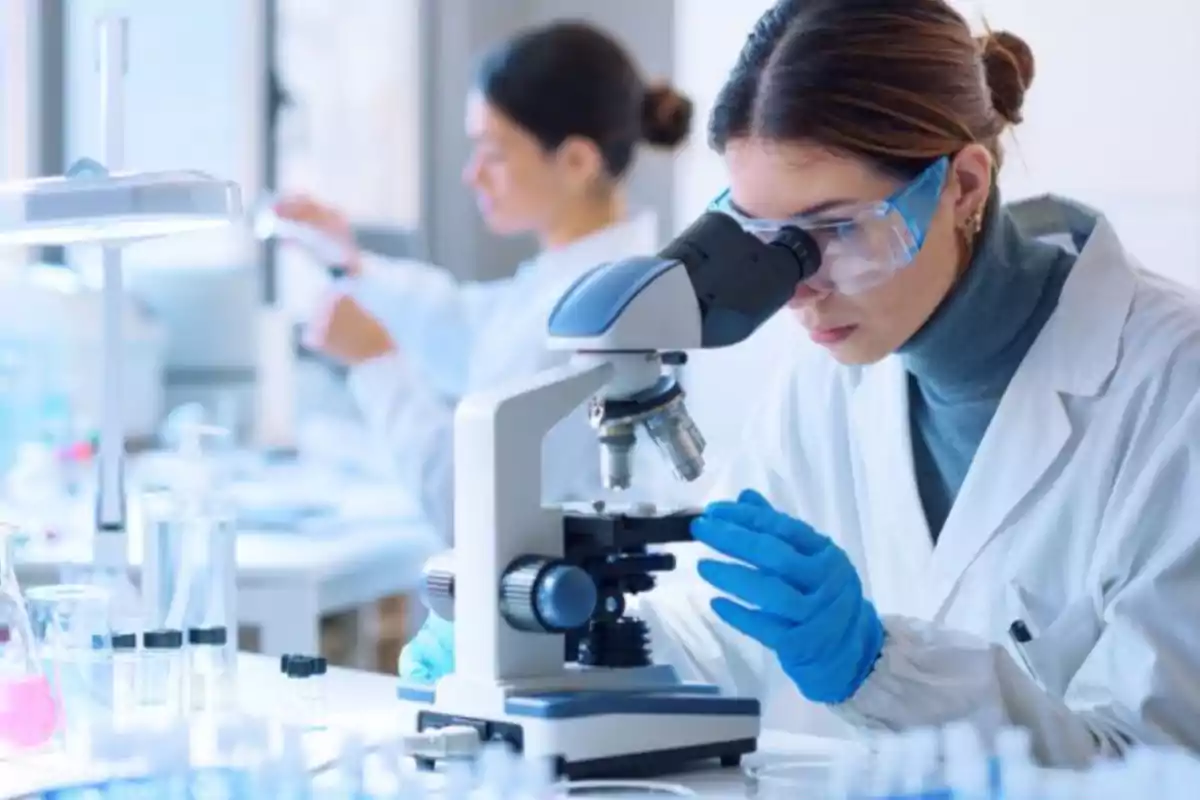 Scientist observing samples through a microscope in a modern laboratory Scientist observing samples through a microscope in a modern laboratory