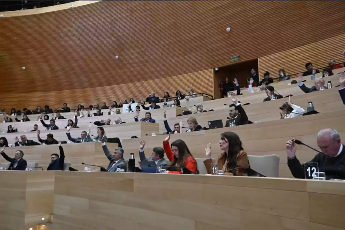 People in a modern auditorium raising their hands during a vote People in a modern auditorium raising their hands during a vote