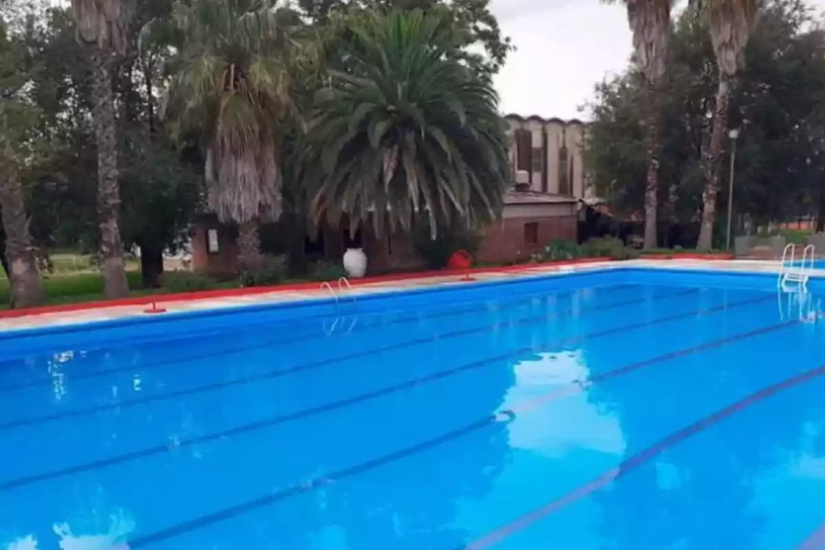 Piscina al aire libre rodeada de palmeras y vegetación con un edificio al fondo Piscina al aire libre rodeada de palmeras y vegetación con un edificio al fondo