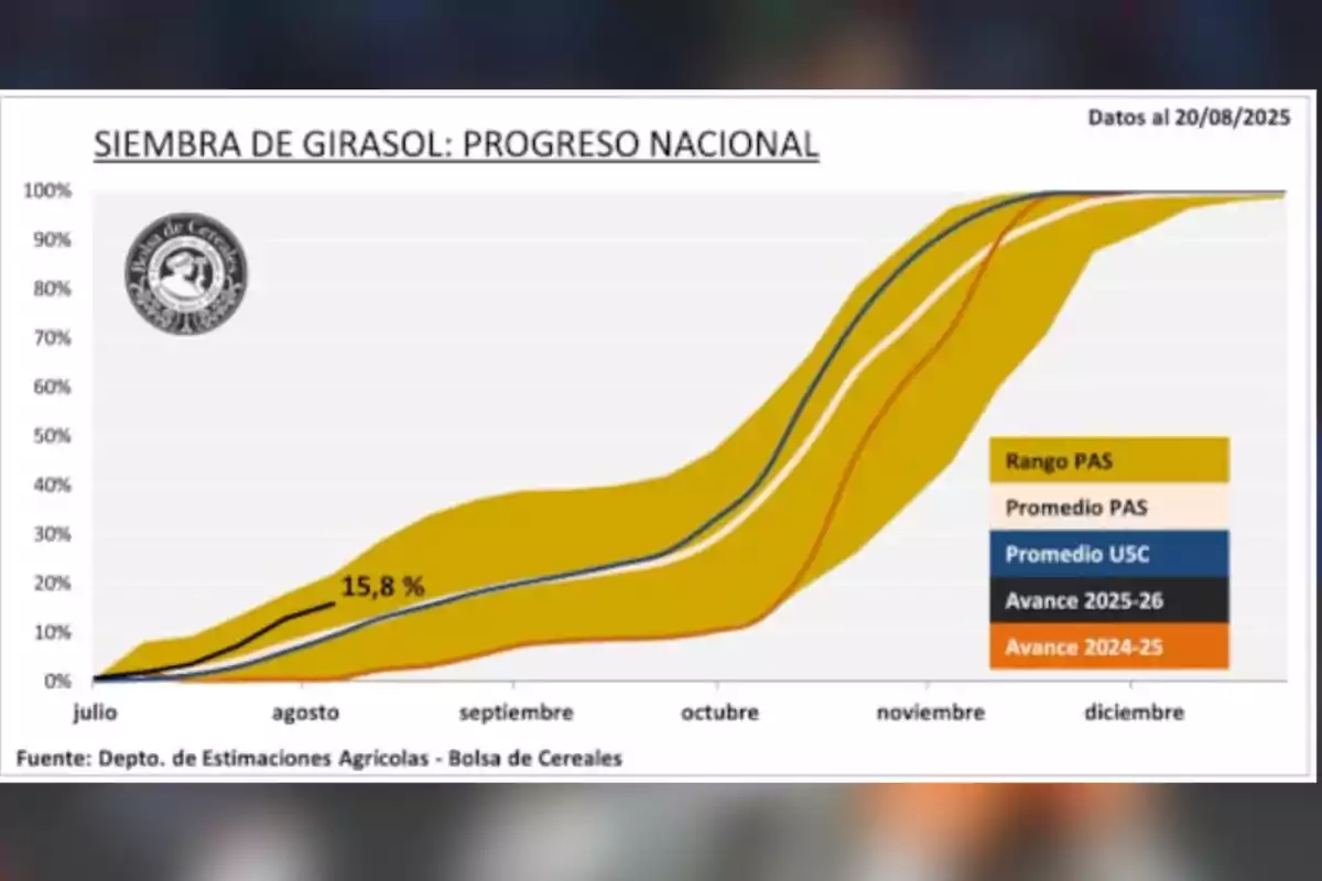 Line chart showing national sunflower planting progress in Argentina between July and December, comparing different seasons and historical averages, with a 15.8 percent advance in August according to data from the Buenos Aires Grain Exchange. Line chart showing national sunflower planting progress in Argentina between July and December, comparing different seasons and historical averages, with a 15.8 percent advance in August according to data from the Buenos Aires Grain Exchange.