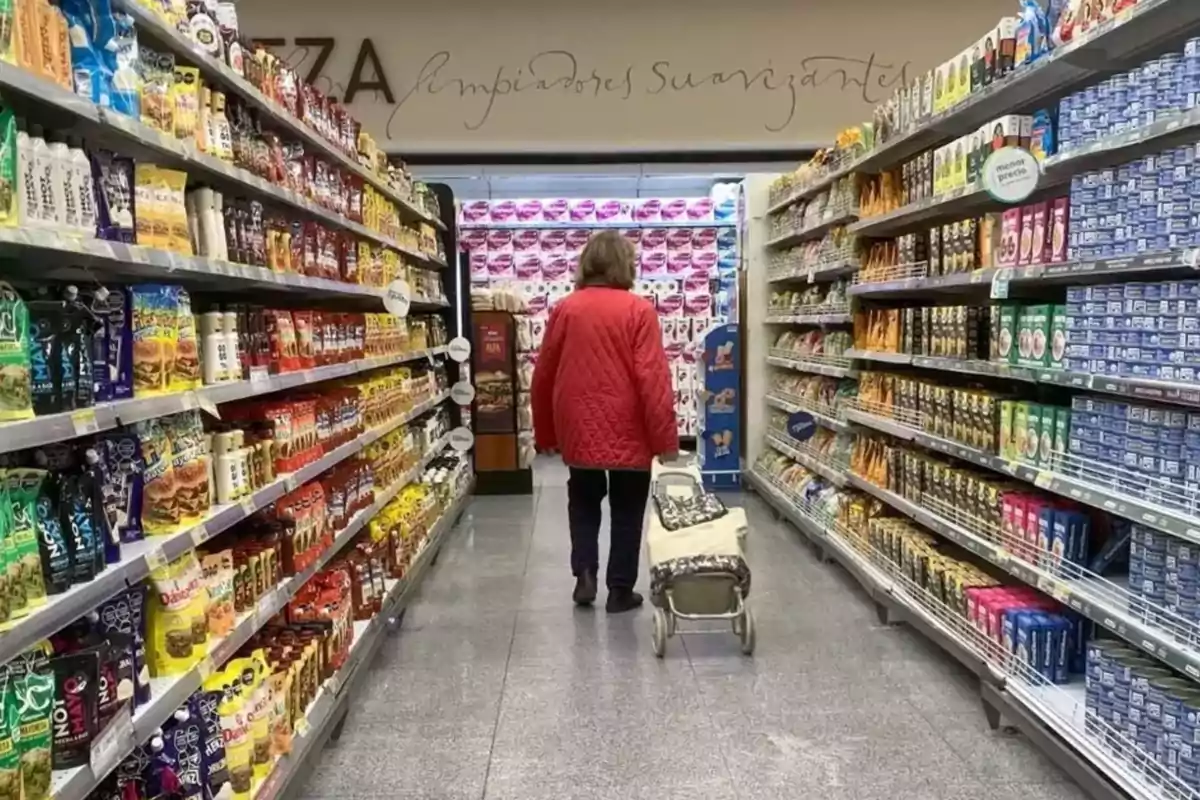 Person wearing a red coat pushing a shopping cart down a supermarket aisle surrounded by shelves full of products. Person wearing a red coat pushing a shopping cart down a supermarket aisle surrounded by shelves full of products.
