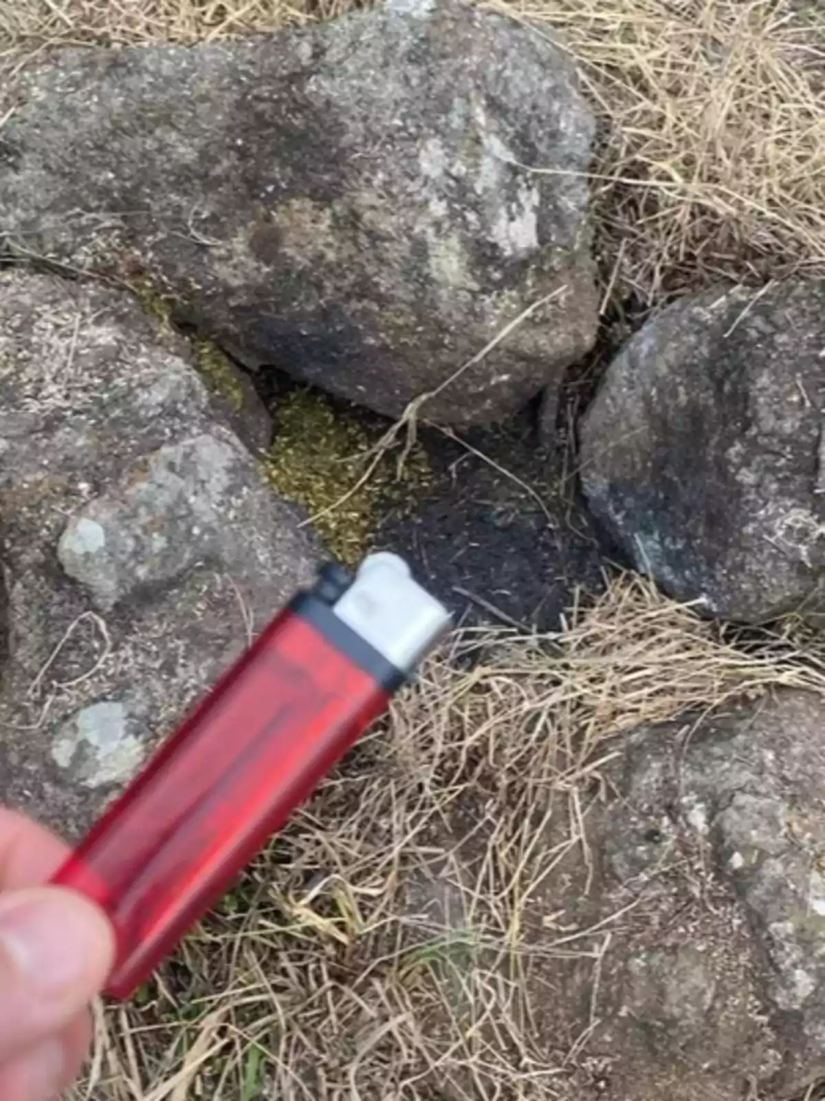Encendedor rojo sostenido frente a un círculo de piedras sobre pasto seco Encendedor rojo sostenido frente a un círculo de piedras sobre pasto seco