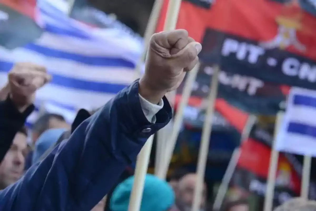 Person raising their fist in protest with flags in the background at a demonstration Person raising their fist in protest with flags in the background at a demonstration