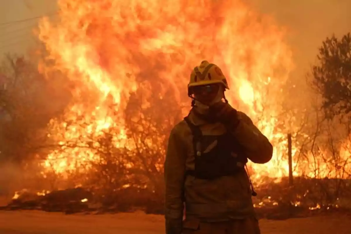 Bombero con equipo de protección de pie frente a un incendio forestal de gran magnitud