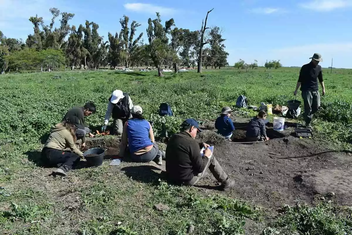 Grupo de personas realizando excavaciones arqueológicas en un campo verde bajo un cielo despejado Grupo de personas realizando excavaciones arqueológicas en un campo verde bajo un cielo despejado