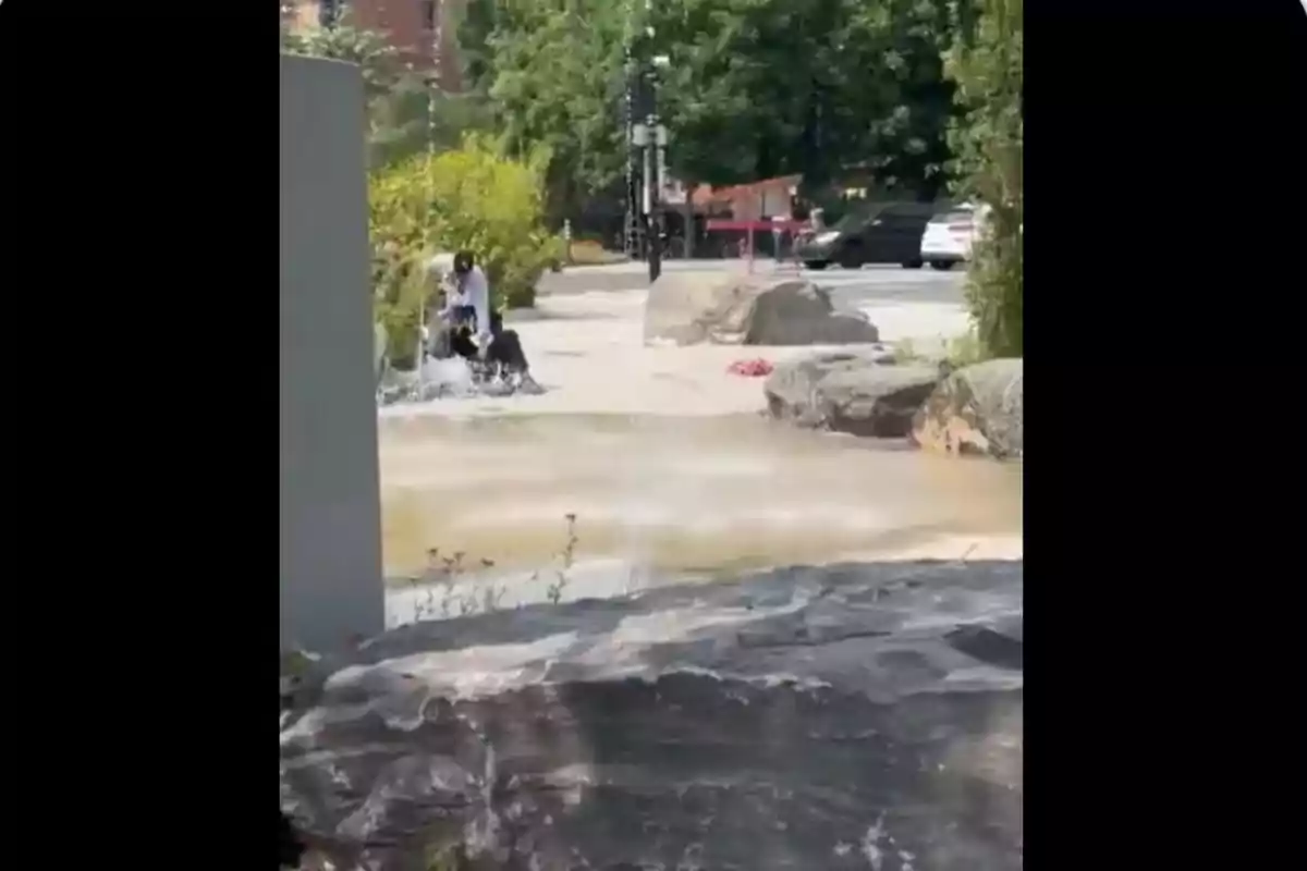 Persona sentada en una fuente de agua en un parque urbano rodeado de rocas y vegetación con autos estacionados al fondo