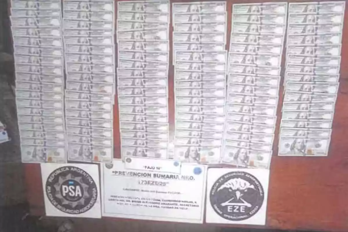 Billetes de cien dólares estadounidenses organizados en filas sobre una mesa junto a carteles de la Policía de Seguridad Aeroportuaria de Argentina