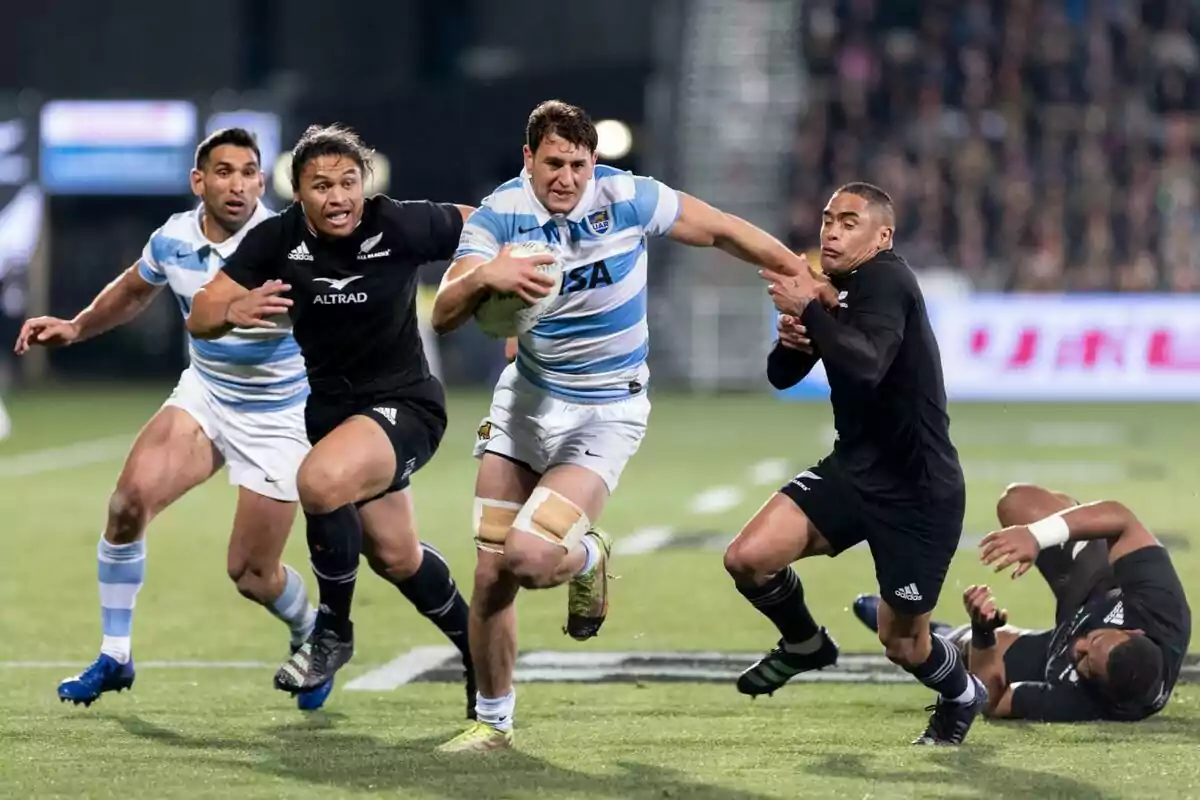 Rugby players from Argentina and New Zealand competing intensely during a match Rugby players from Argentina and New Zealand competing intensely during a match