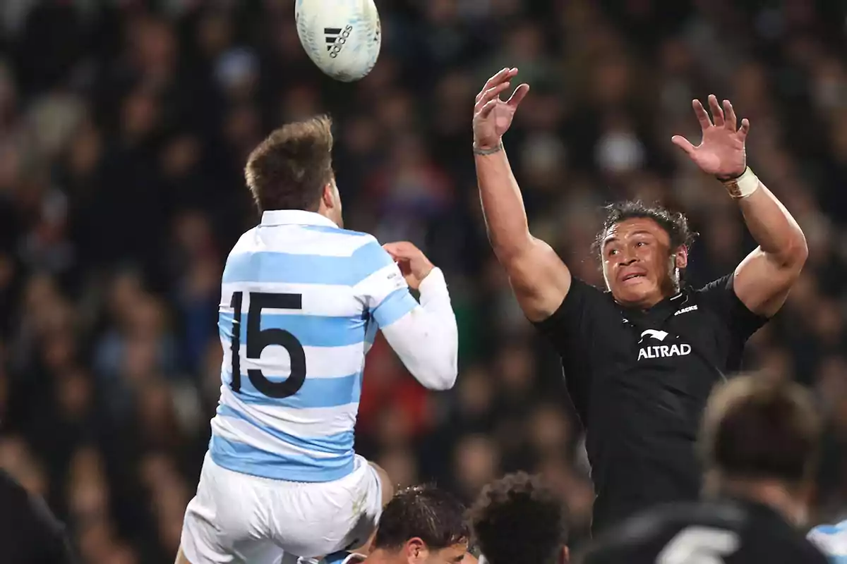 Two rugby players jump to contest the ball in the air during a match, one wearing a light blue and white uniform and the other in black, with the crowd blurred in the background.