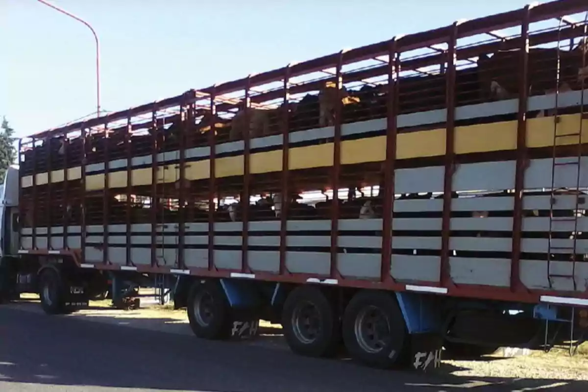 Camión de transporte de ganado detenido al costado de una carretera Camión de transporte de ganado detenido al costado de una carretera